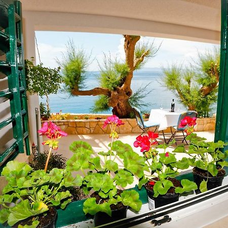 Studio Apartman Papic Drasnice Εξωτερικό φωτογραφία