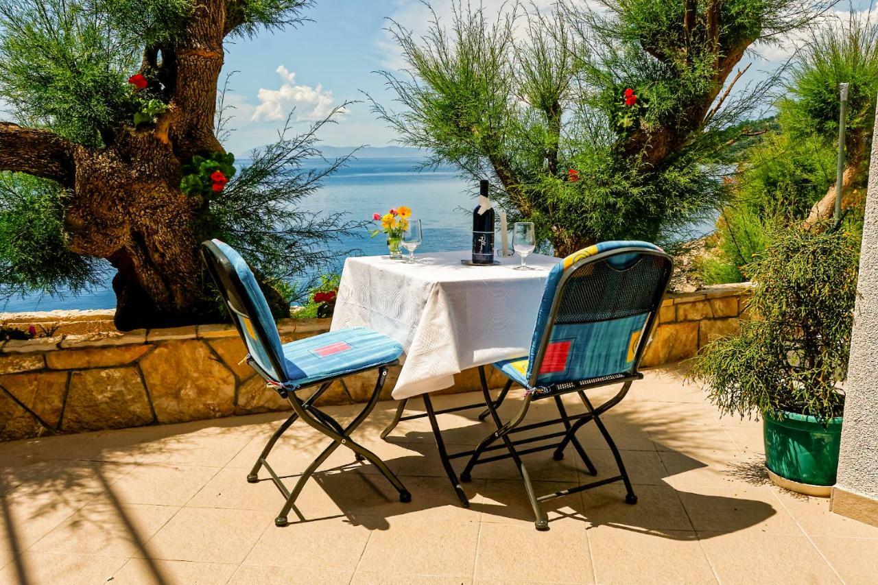 Studio Apartman Papic Drasnice Εξωτερικό φωτογραφία