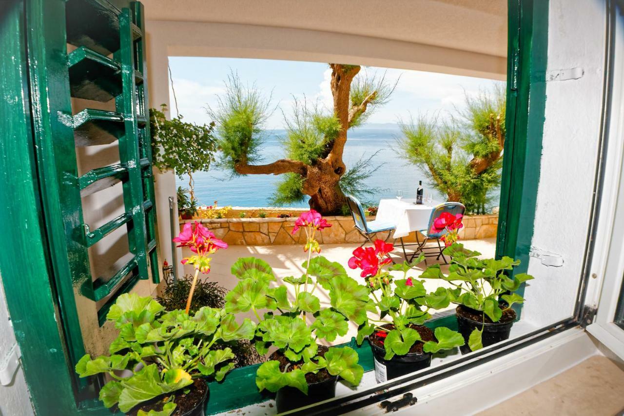 Studio Apartman Papic Drasnice Εξωτερικό φωτογραφία